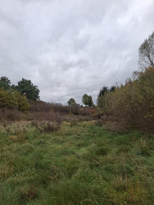 Atrakcyjna dzialka w Sulęcinie z wydana decyzją  geotechniczna!!! - Widok 5