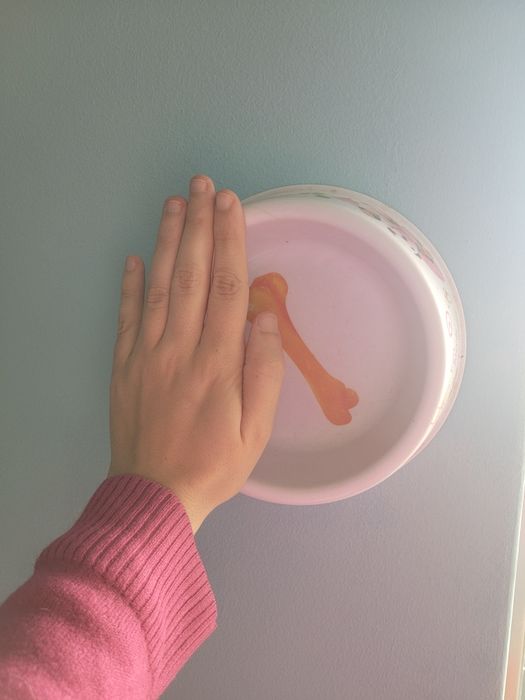 Comedouro para animal