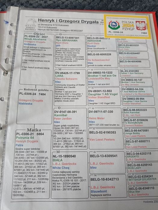 Redukcja rozpłodu