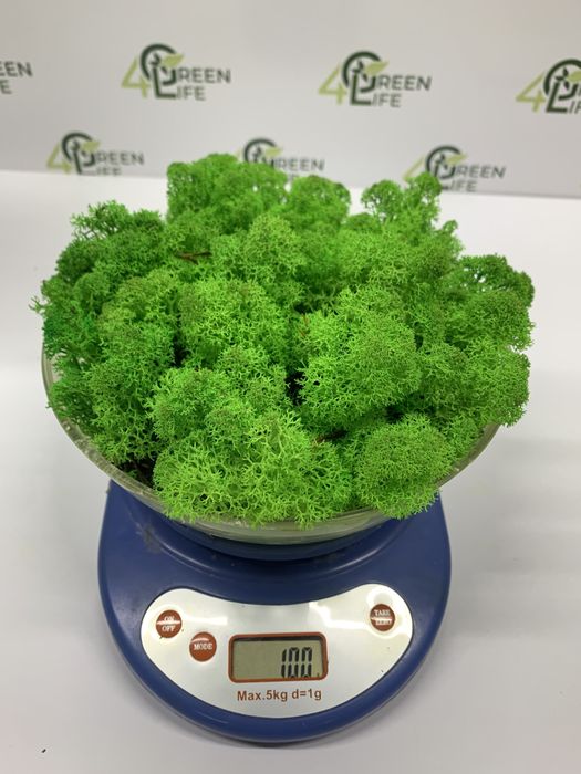 Мох стабілізований