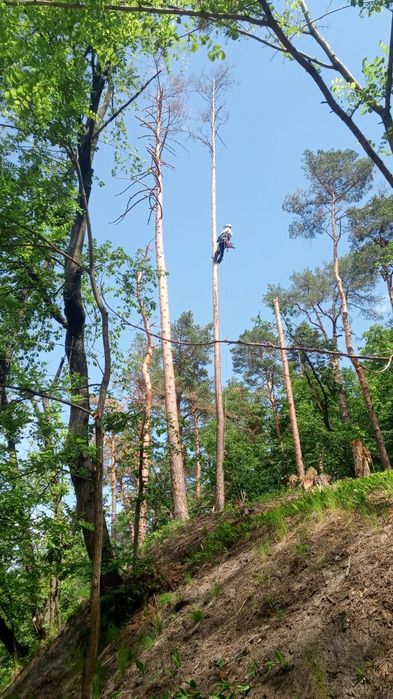 Видалення та обрізка дерев.Арборист.Альпініст.Бородянка