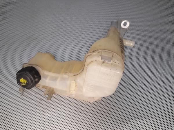 Vaso Expansao / Radiador RENAULT Laguna III (BT0/1)