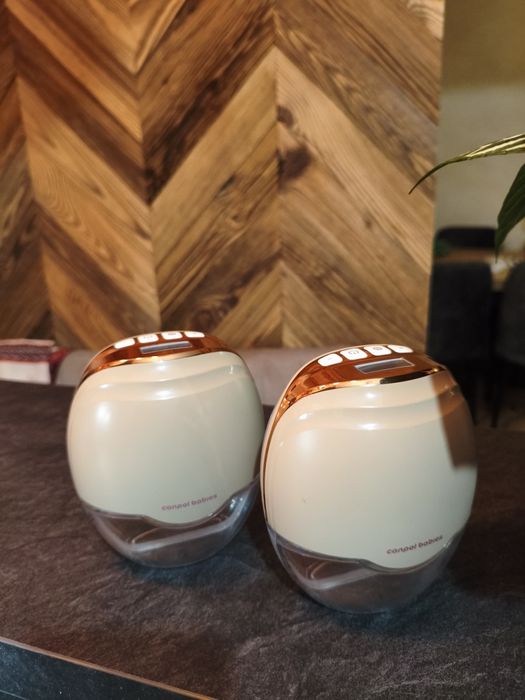 Dwa Laktatory Canpol Babies muszlowe do stanika