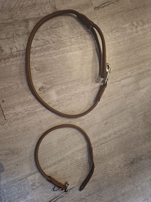 Trela e coleira de cabedal para cão grande