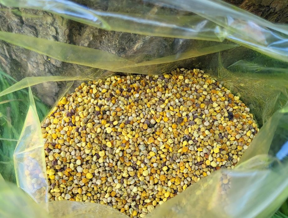 Pyłek Pszczeli 500 gram