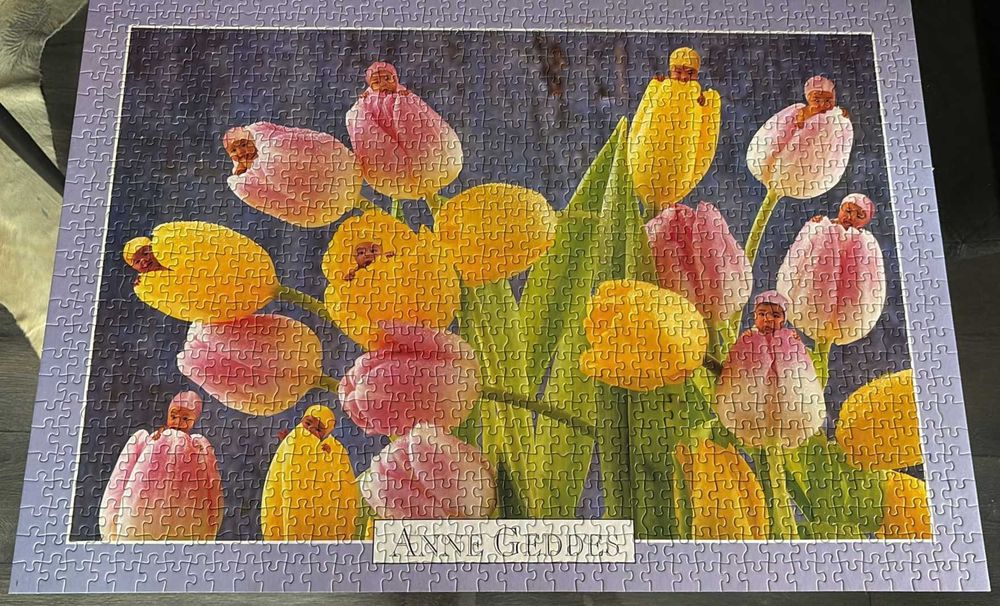 Puzzle de 1000 Peças Anne Geddes [completo]