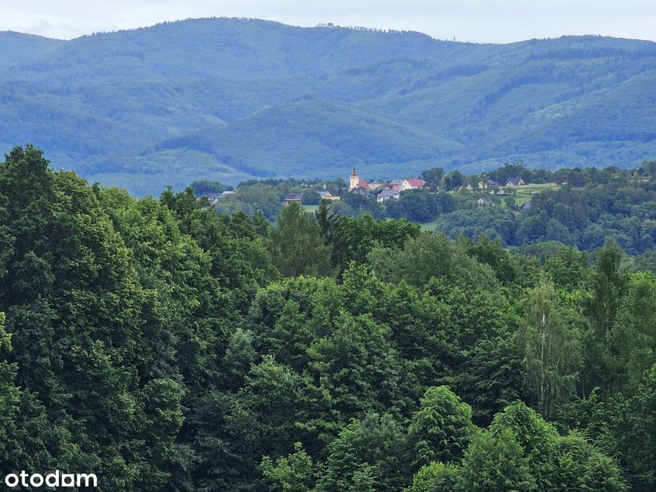 Widokowa siedliskowa na ustronnym wzniesieniu z la