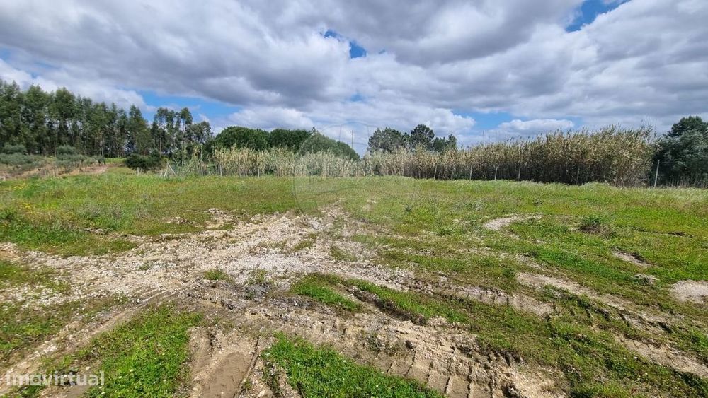 Terreno  para venda
