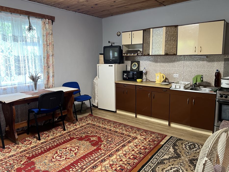 Дачний будинок в с. Лагодів біля Бродів