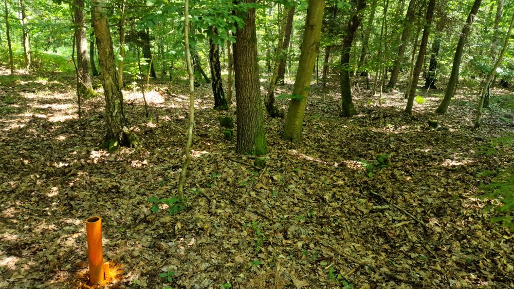 Działka rolno-leśna z warunkami zabudowy – Poddębowiec