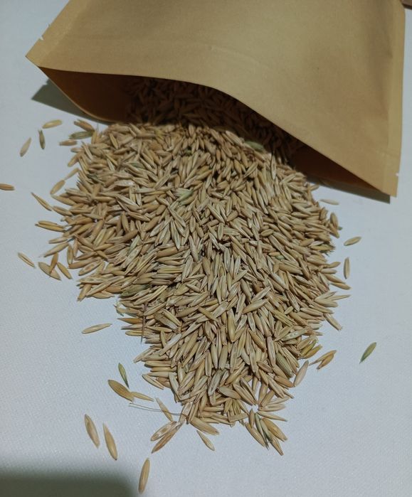 Овес для лікувальних відварів ціна за 2кг