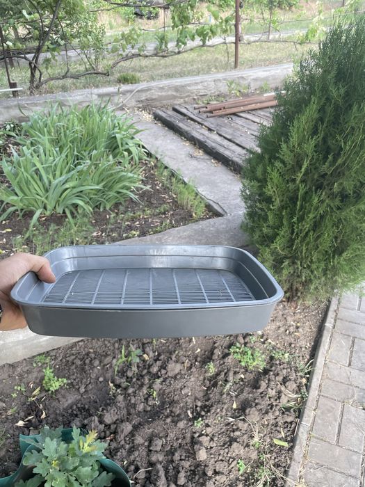 Лоток для котів низький