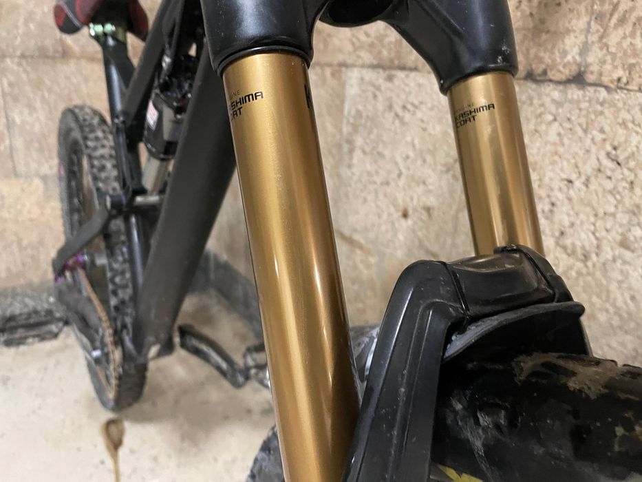 Rose uncle jimbo 2014 L size 26 27.5