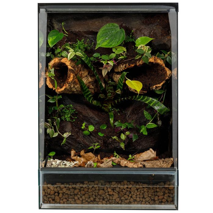 Terrarium tropikalne 40x40x60 paludarium gekon