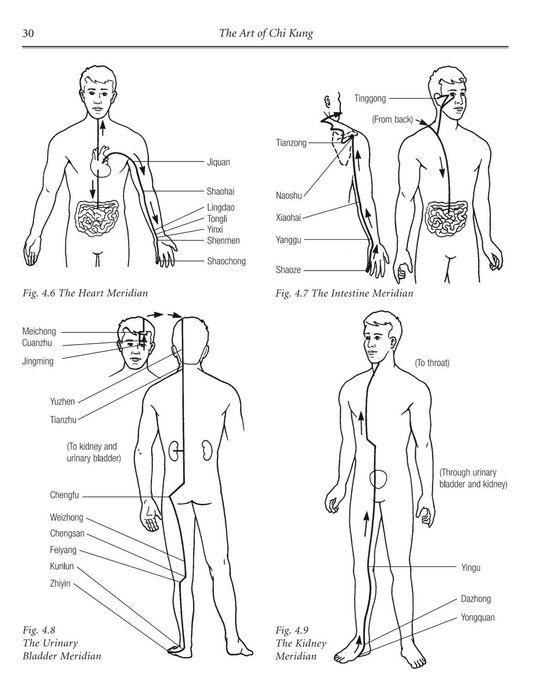 "The Art of CHI KUNG : Making the Most of Your Vital Energy" => Raro