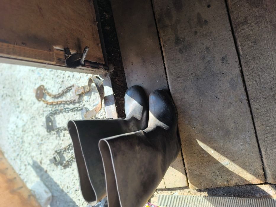 Гумові чоботи 39р