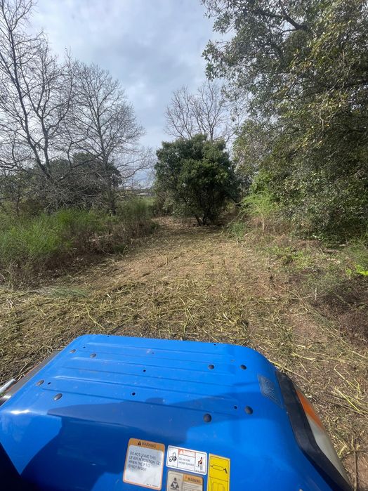 Limpeza de terrenos, jardins e quintais