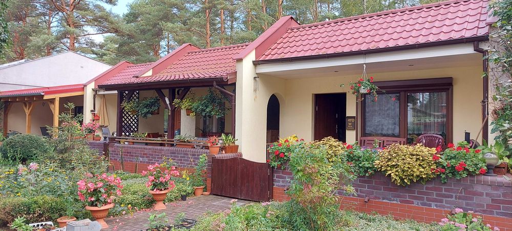 Wynajem domków na ośrodku wypoczynkowym Mierzyn