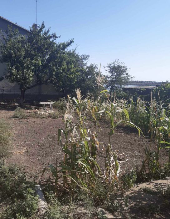 Дом в Александровке + видовой участок 10 соток!Полный пакет документов