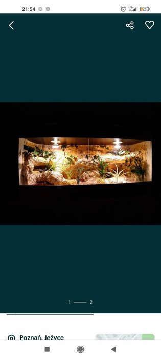 Okazja terrarium dla agamy gekona żółwia węża kameleona legwana pająka
