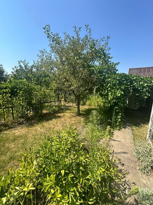 Sprzedam ogródek działkowy 450 m2 w Ogrodach Działkowych ,,Kwitnąca Dolina"