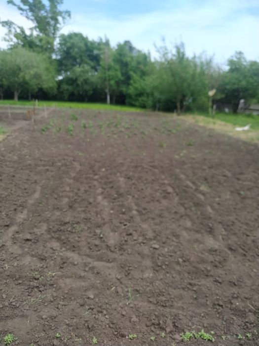 Будинок в с.Перехрестівка