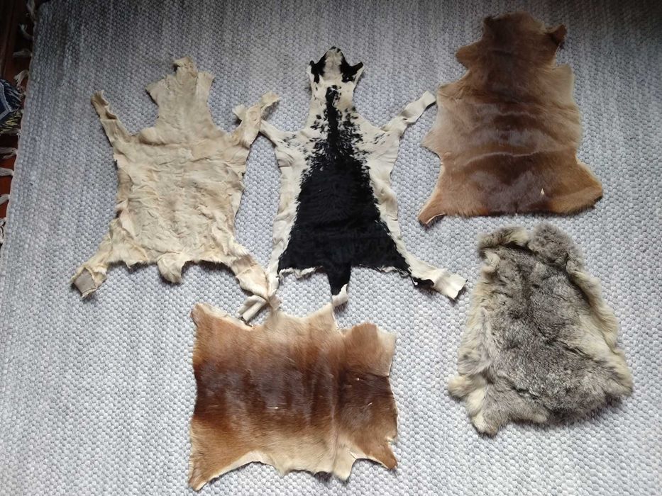 PELES De Coleção -  Vaca - Cabra - Gamo - Astrakan -  Raposa e Outras