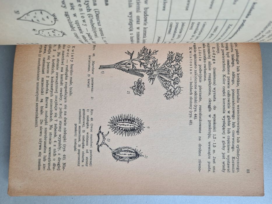 Ogólna uprawa roli i roślin - Książka