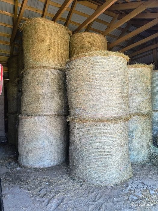 Siano Suche w Belach, Sianokiszonka