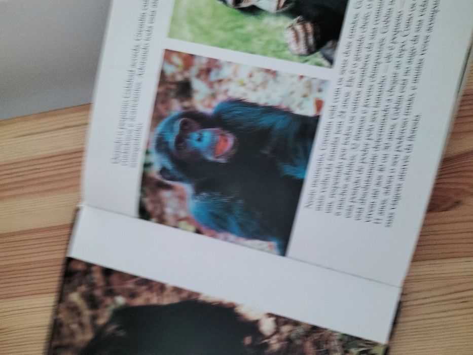 Livro " Família dos Chimpanzés'
