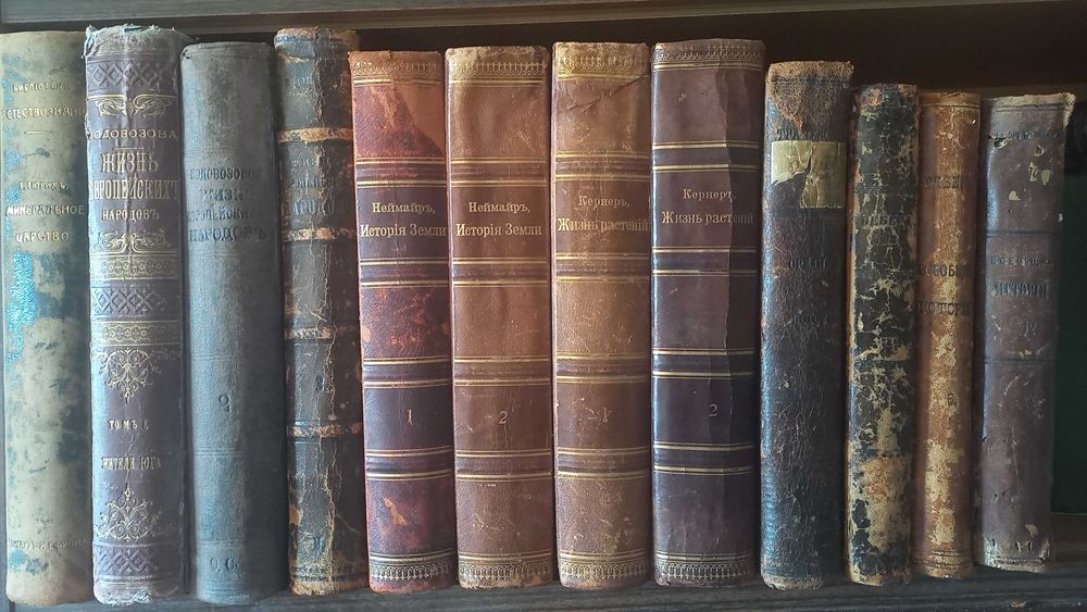 Неймайр,Т.Тюрих,А.Э.Брэм