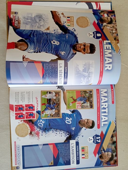 Panini Fiers d'être Bleus