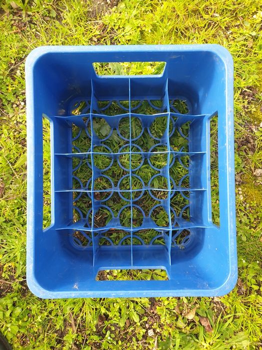 Grades vazia cerveja Erdinger. Monchshof. Augustiner........