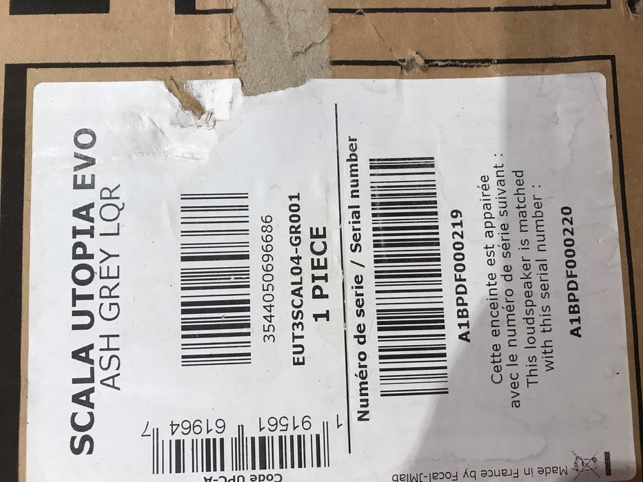 Focal Scala Utopia Evo Ash Grey