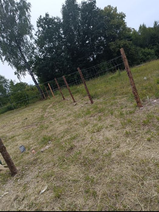 Ogrodzenie leśne tymczasowe budowlane