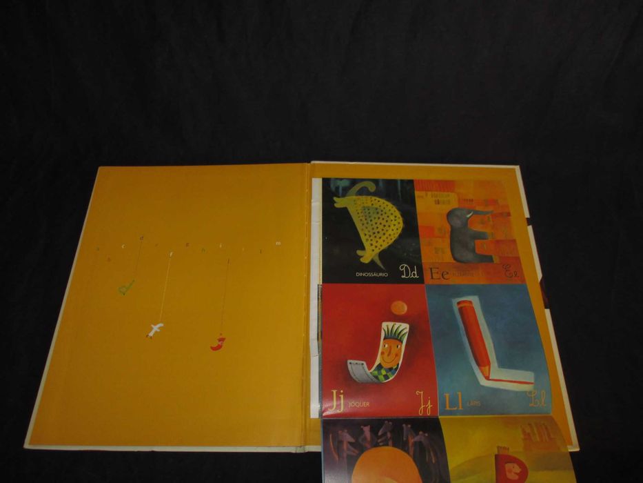 Livro O que se vê no abc Daphne W. Rocha