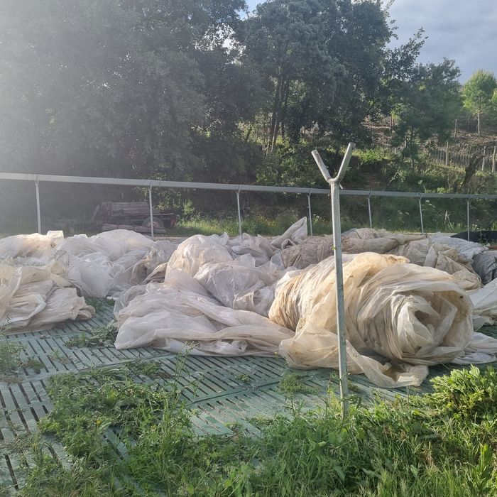 5000 metros quadrados de plásticos de estufa. VENDO PELA MELHOR OFERTA