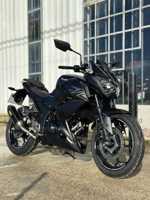 Kawasaki Z300 Performance 2017