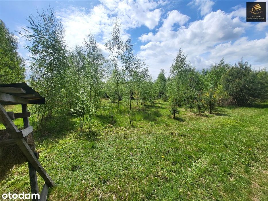 Działka na sprzedaż, Janów - Widok 2
