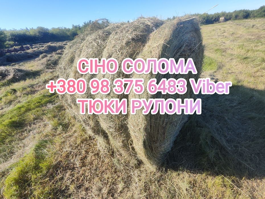 Сіно сено солома.ДЕКОР. УТЕПЛЮВАЧ СОБАКАМ В БУДКУ. Доставим. Від 1 шт