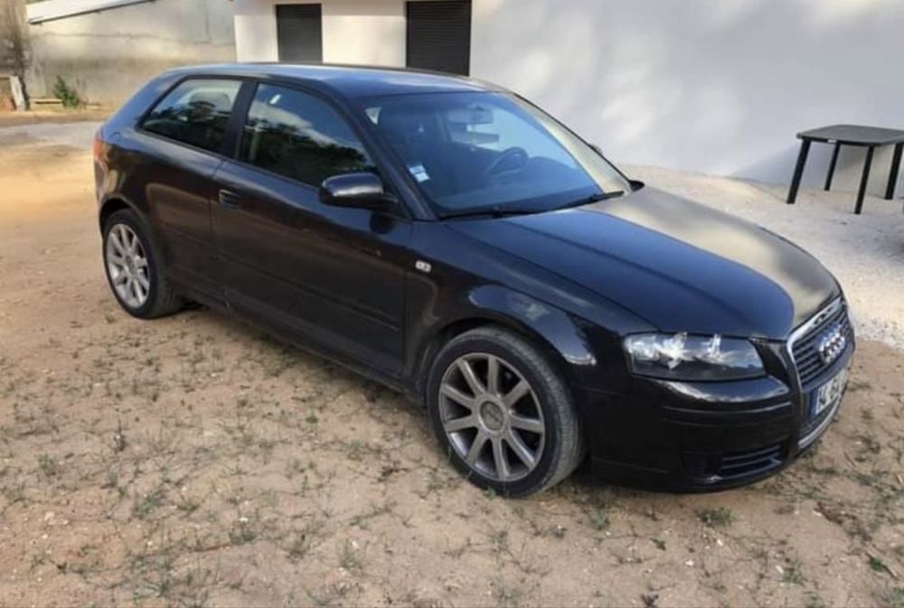 Audi A3 8P 1.9 TDI