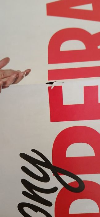 Poster António Félix da Costa