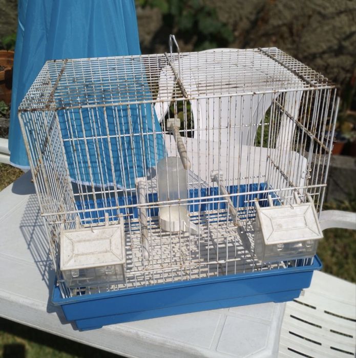 Gaiola para pássaro azul