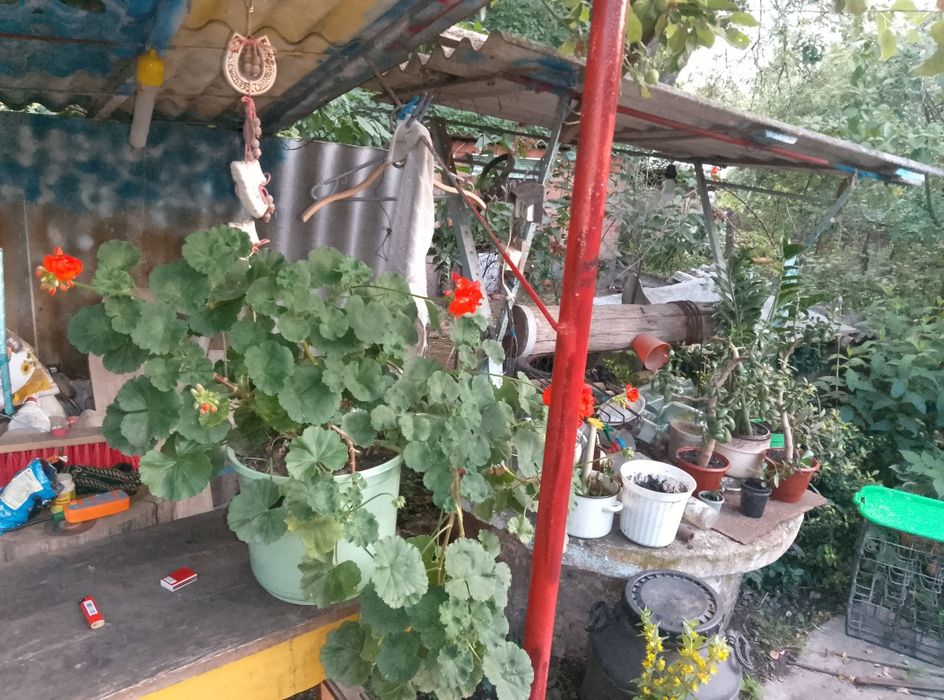 Продам будинок с.Білецьківка