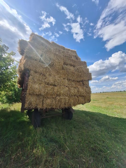 Продаю Пшеничну Солому в тюках з доставкою. Ціна 80 грн. за тюк. Можливий Самовивіз.