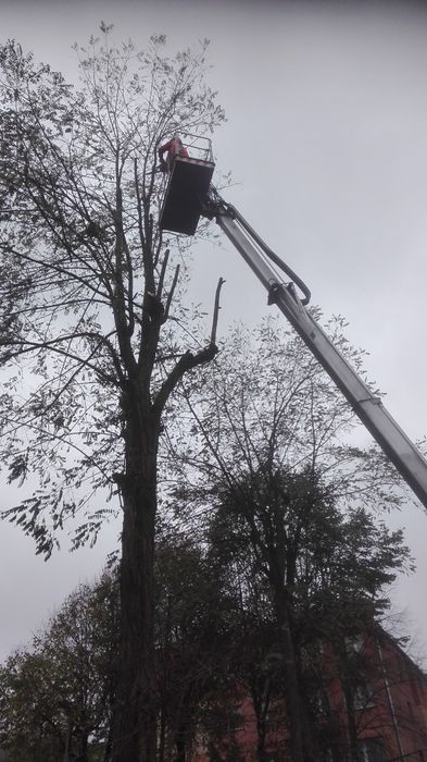 Wycinka,Podcinka Drzew trudnych-malowanie dachów, cały Śląsk