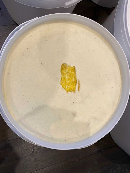 Miód słonecznikowy- 100% naturalny