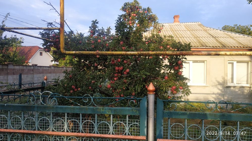 Продам частный дом