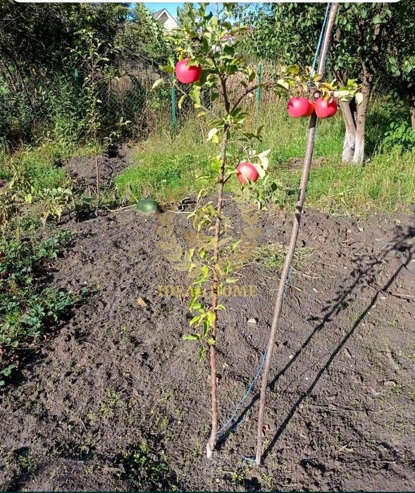 Продам половину будиноку с. Любимівка