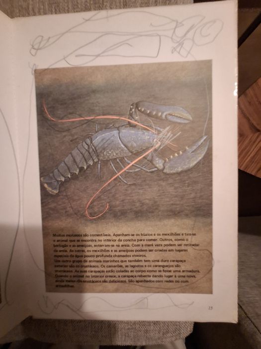 Livro Explorando o Mar